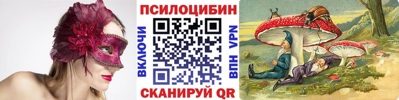Купить где  Данилов  Галлюциногенные грибы прущие грибы 